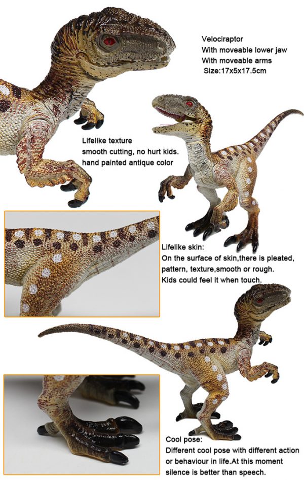 Velociraptor solid dinosaur realistic model toy