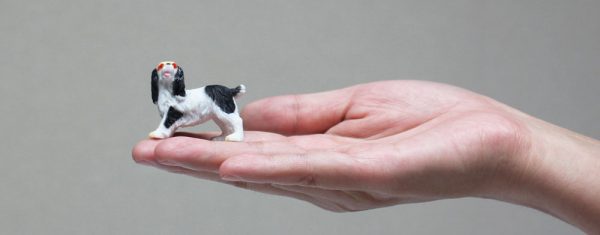 12 Kinds of small plastic dog toy