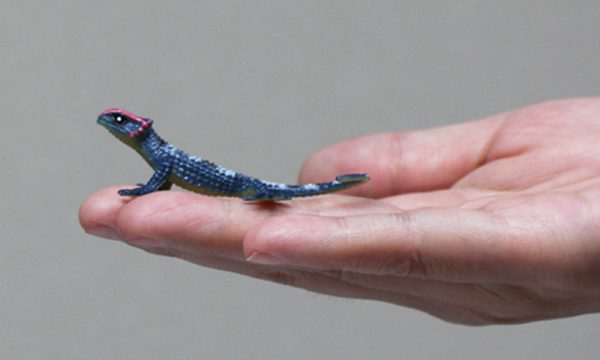 Reptile series animal model mini plastic lizard toy