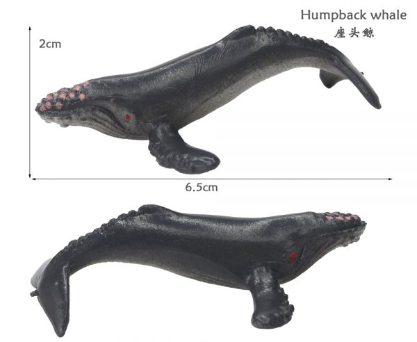 12 kinds of plastic marine animal model toy set