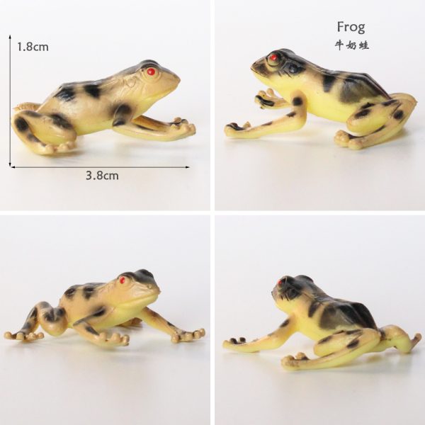 Rainforest animal plastic frog toy
