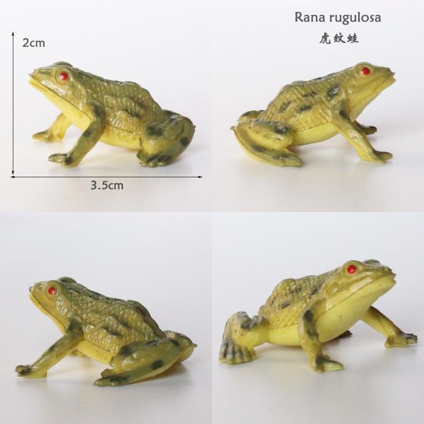 Rainforest animal plastic frog toy