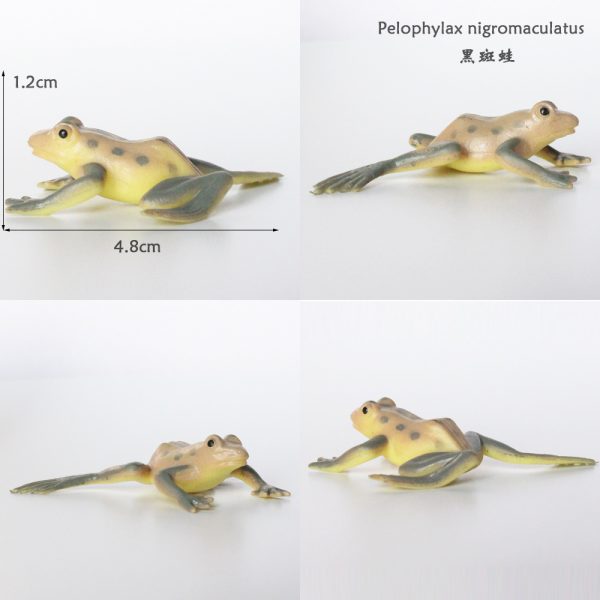 Rainforest animal plastic frog toy