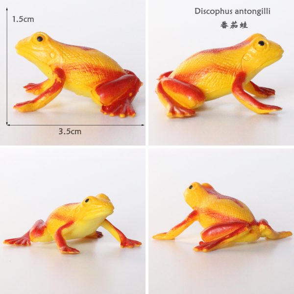 Rainforest animal plastic frog toy