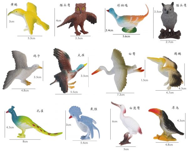 12 Kinds of birds plastic animal model toy