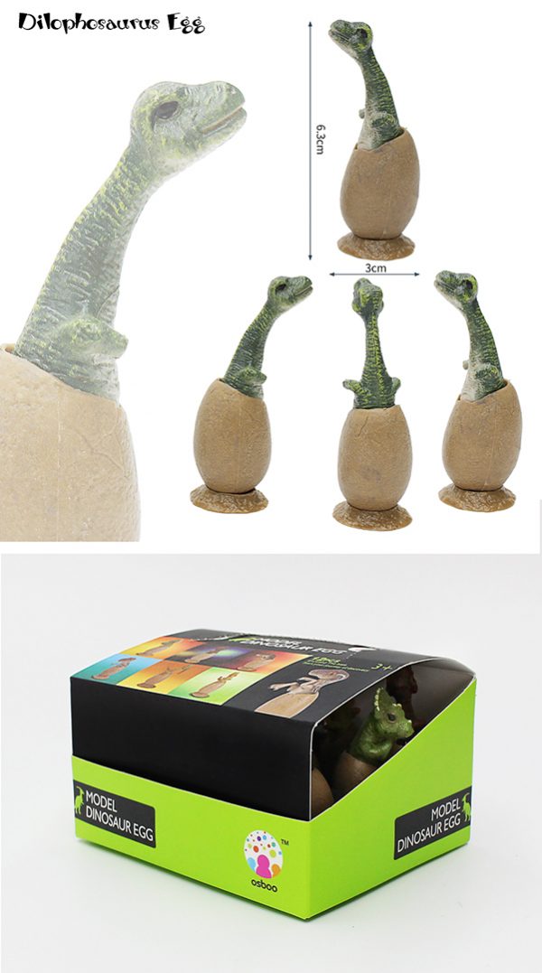 Plastic model dinosaur egg toy