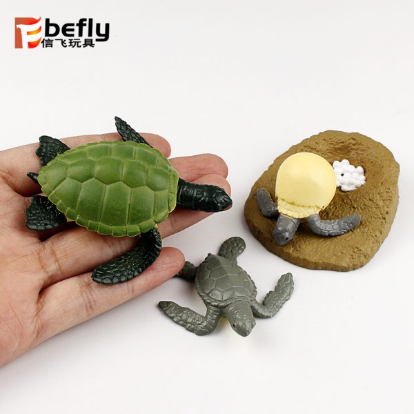 Realistic plastic turtle life cycle toy set