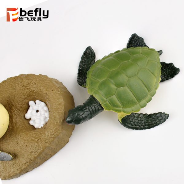 Realistic plastic turtle life cycle toy set