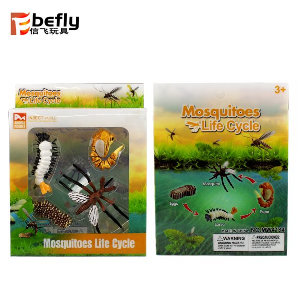 Realistic plastic Mosquito life cycle toy set