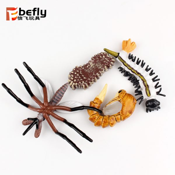 Realistic plastic Mosquito life cycle toy set