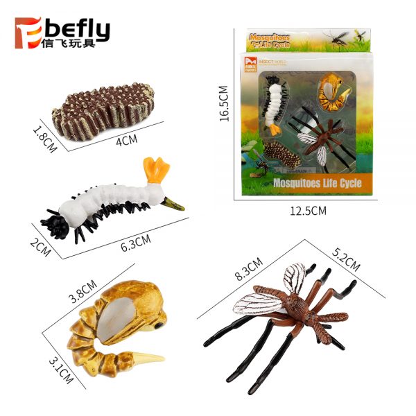 Realistic plastic Mosquito life cycle toy set