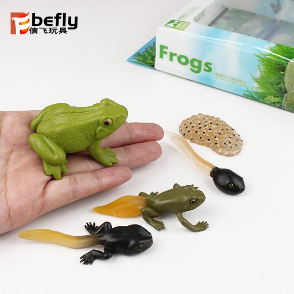 Realistic plastic frog life cycle toy set