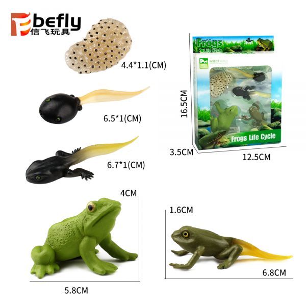 Realistic plastic frog life cycle toy set