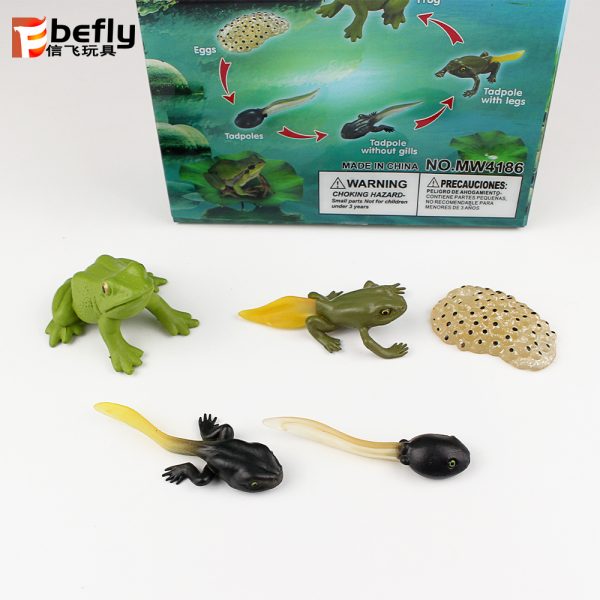 Realistic plastic frog life cycle toy set