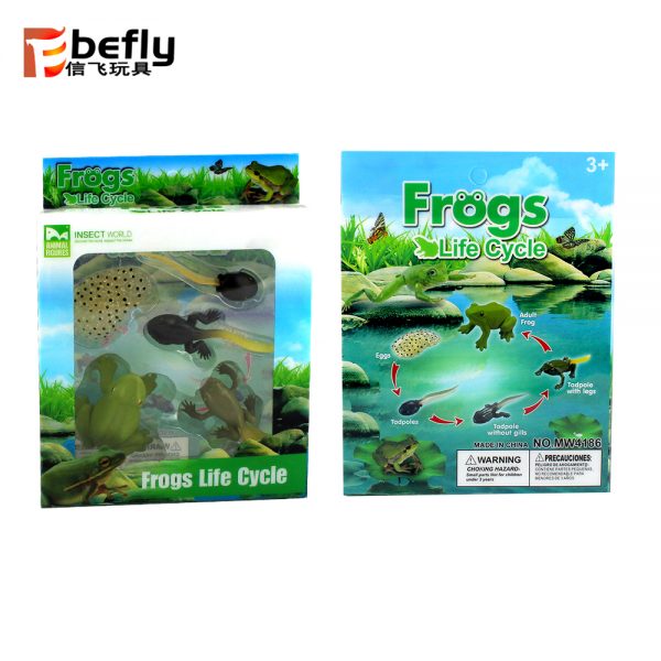 Realistic plastic frog life cycle toy set