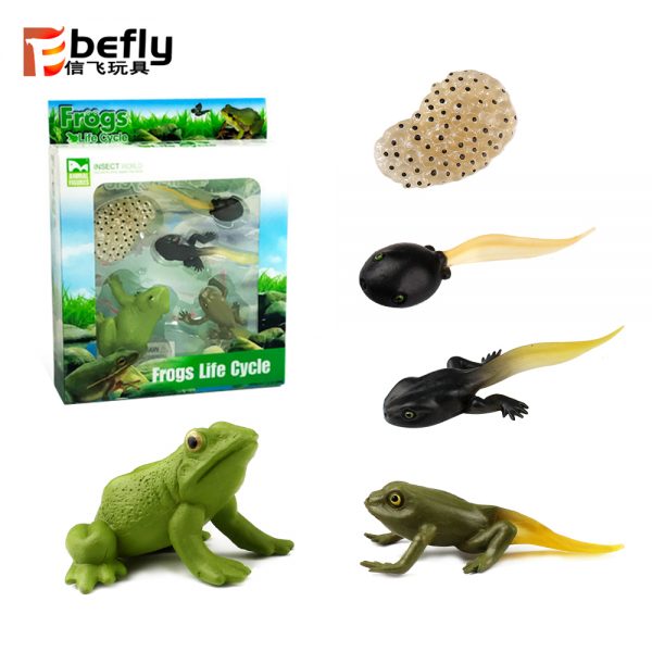 Realistic plastic frog life cycle toy set