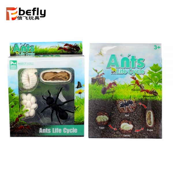 Realistic plastic Ant life cycle toy set