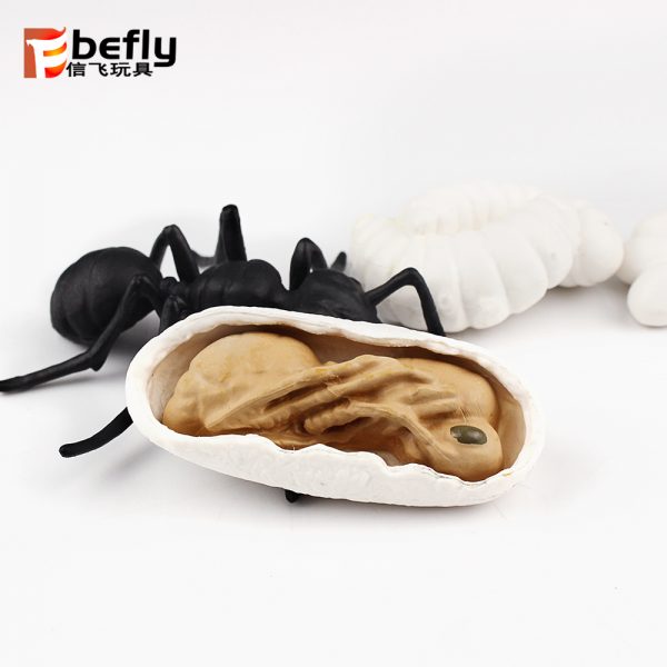 Realistic plastic Ant life cycle toy set