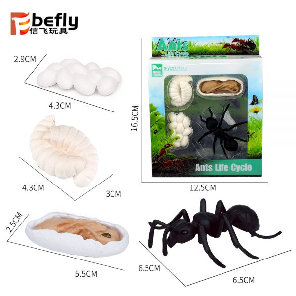 Realistic plastic Ant life cycle toy set