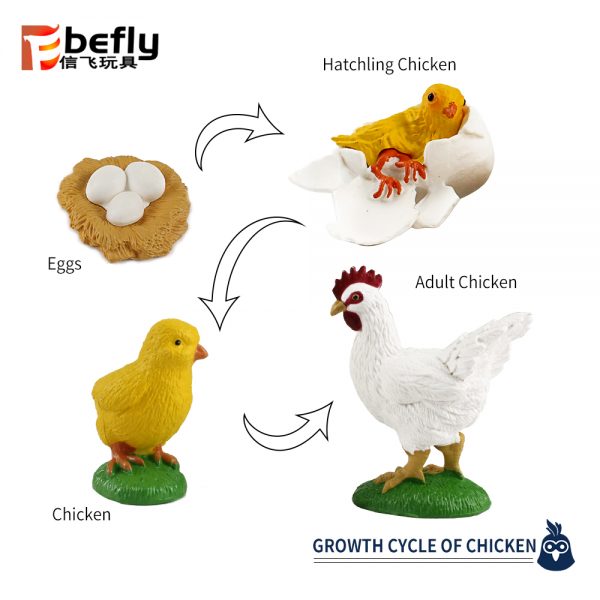 Realistic plastic chick life cycle toy set