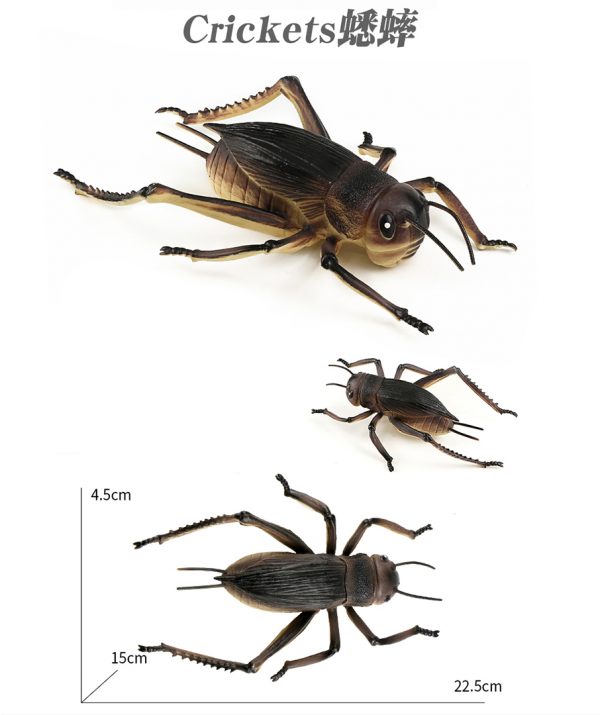 Simulation 8 inches insect model plastic hollow cricket toy