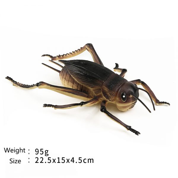 Simulation 8 inches insect model plastic hollow cricket toy