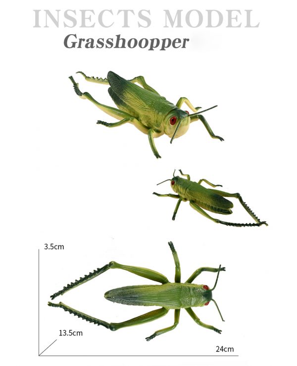 8inches large table decorational insect model halloween toy