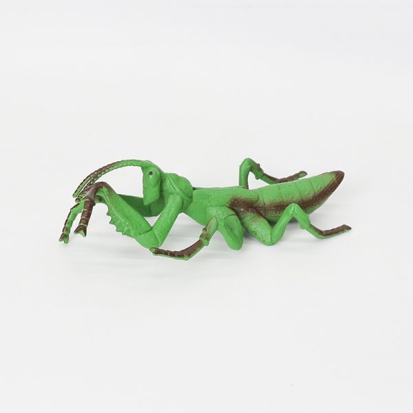 Plastic model insect toy set