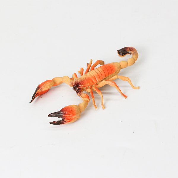 Plastic model insect toy set