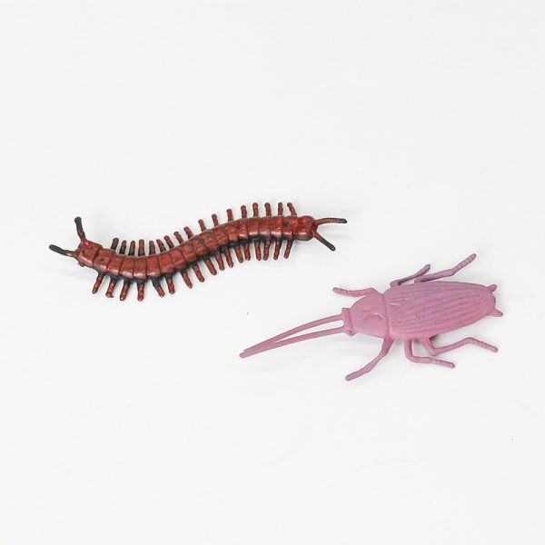 Plastic model insect toy set
