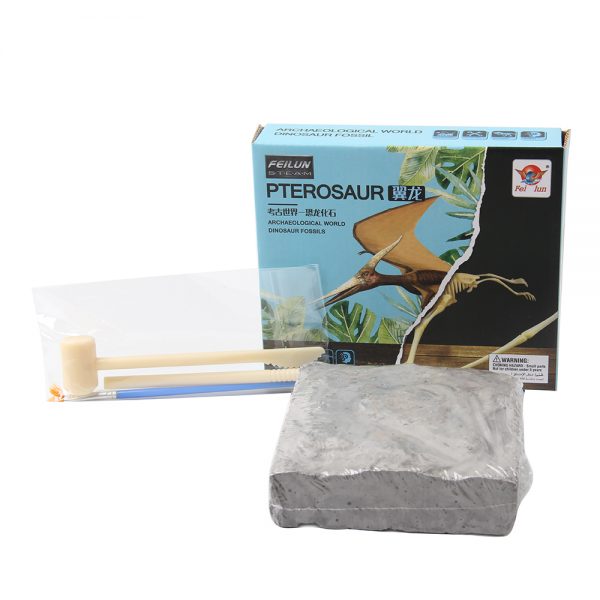 DIY small Pterosaur skeleton model dig it out dinosaur excavation kit