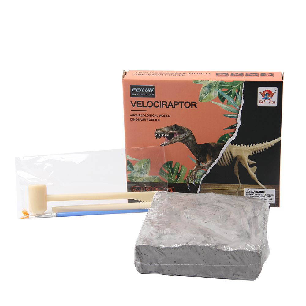 excavation kit dinosaur 3d skeleton