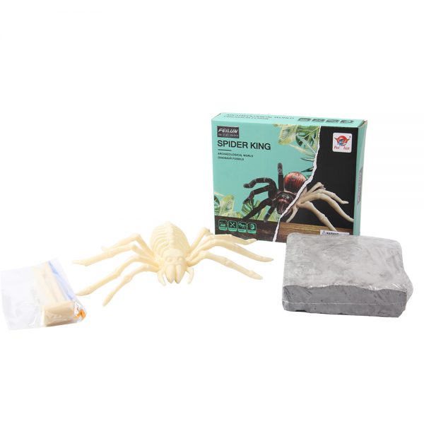 Spider skeleton fossil dig it out excavation kit archaeological