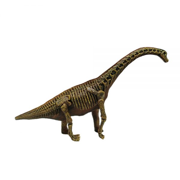 Realistic Brachiosaurus toy dinosaur skeleton model
