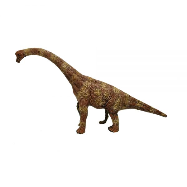 Realistic Brachiosaurus toy dinosaur skeleton model