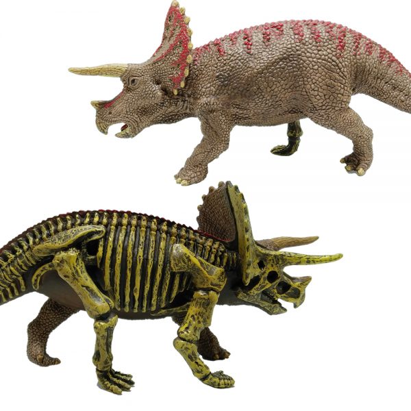 Different doubble side plastic solid Triceratops dinosaur skeleton toy