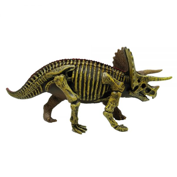 Different doubble side plastic solid Triceratops dinosaur skeleton toy