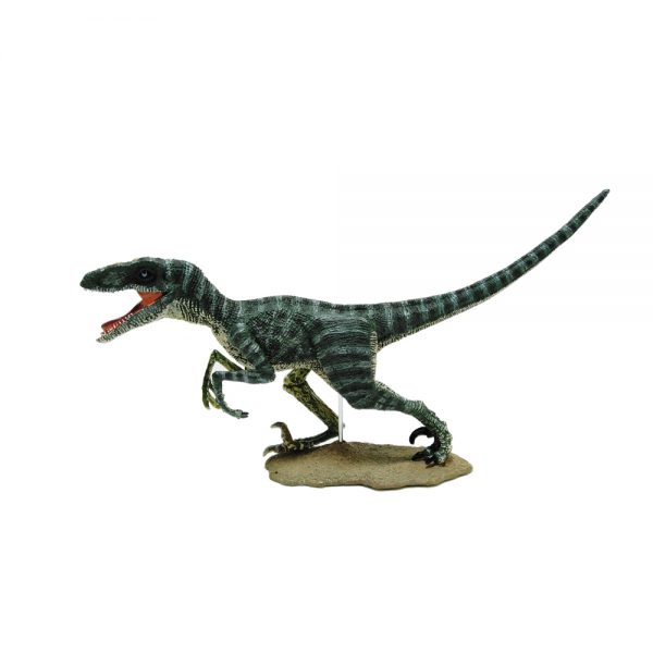 Doubble different size vivid Velociraptor toy plastic dinosaur skeleton model