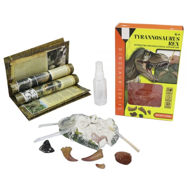 Vivid plaster T-rex dinosaur head dig toy