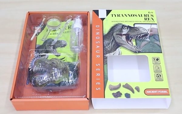 Vivid plaster T-rex dinosaur head dig toy