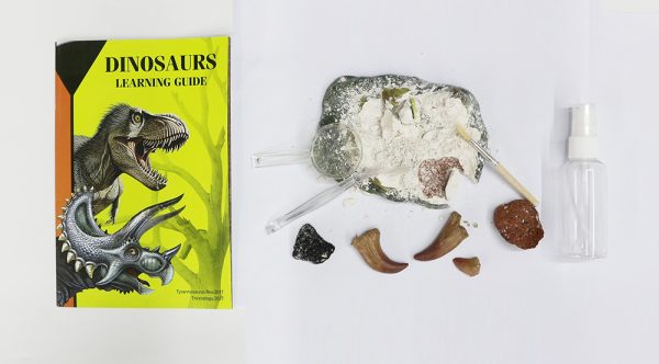 Vivid plaster T-rex dinosaur head dig toy