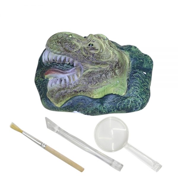 Vivid plaster T-rex dinosaur head dig toy