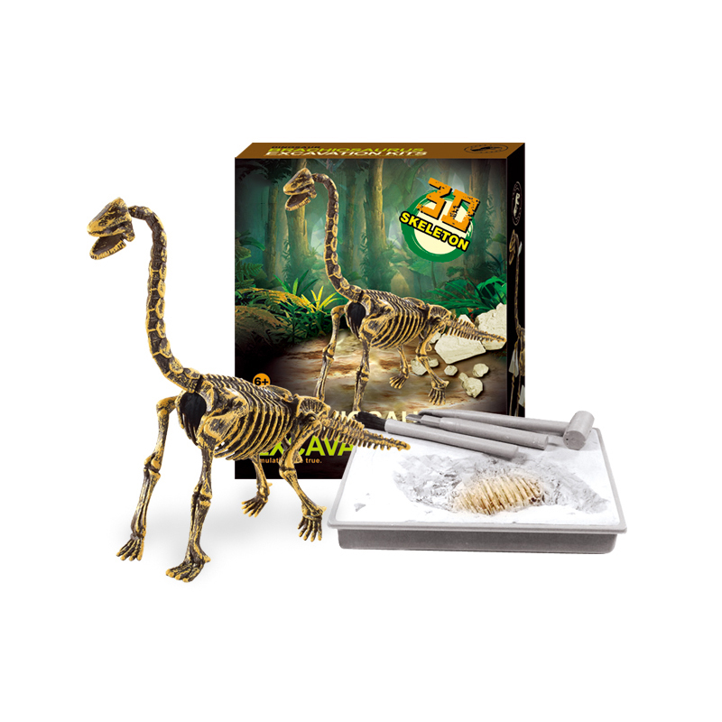 Archeology kit diy dinosaur skeleton plastic toy Believe Fly Toys Co. Ltd