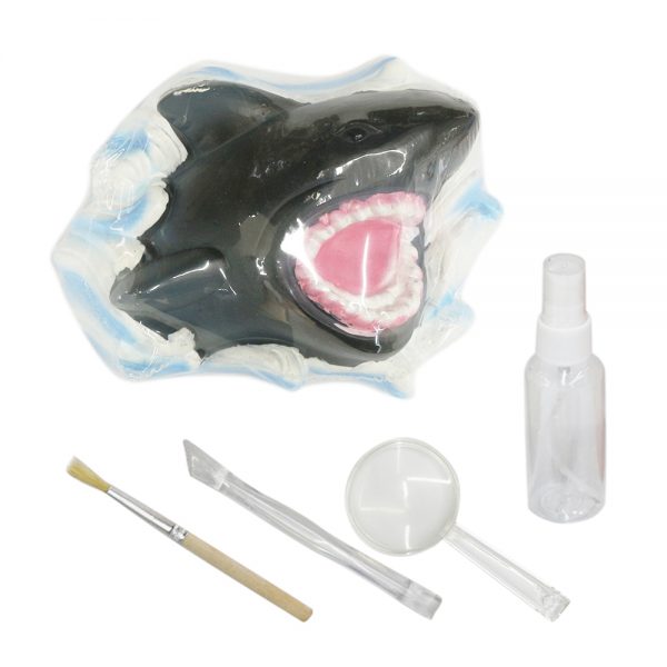 Realistic shark plaster model STEM sea excavation kit archaeological fossils toy