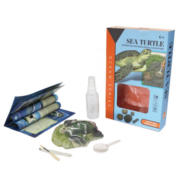 Vivid tortoise shape dig it out fossil sea archaeological toys