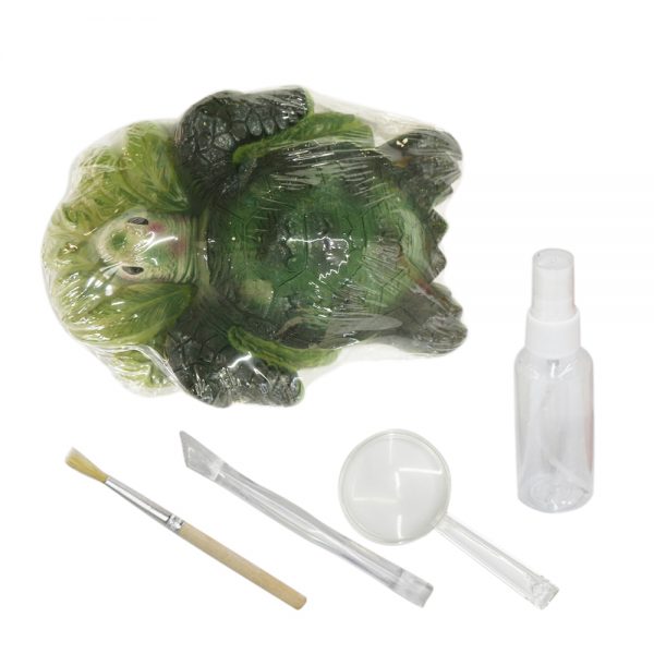 Vivid tortoise shape dig it out fossil sea archaeological toys