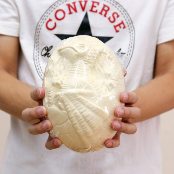 12kinds dinosaur skeleton fossil in 1 18cm Discover excavation big dino egg dig it out kit toy