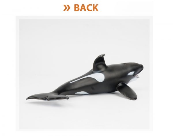 16 inches Killer whale model stuffed cotton vinyl soft sea animals toys
