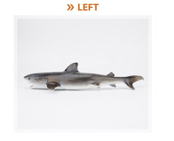 18inches tiger shark model vinyl stuffed soft toys sea animal