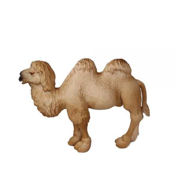 Camelus bactrianus solid model highly detail plastic PVC wild animal figure toy